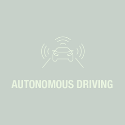 Autonomous Driving
