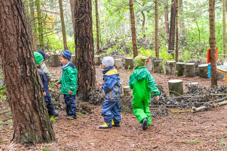 Waldkindergarten im Wald